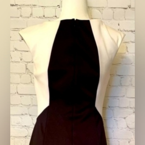 Beautiful tailored dress with Lace inset size 8 - Picture 7 of 8